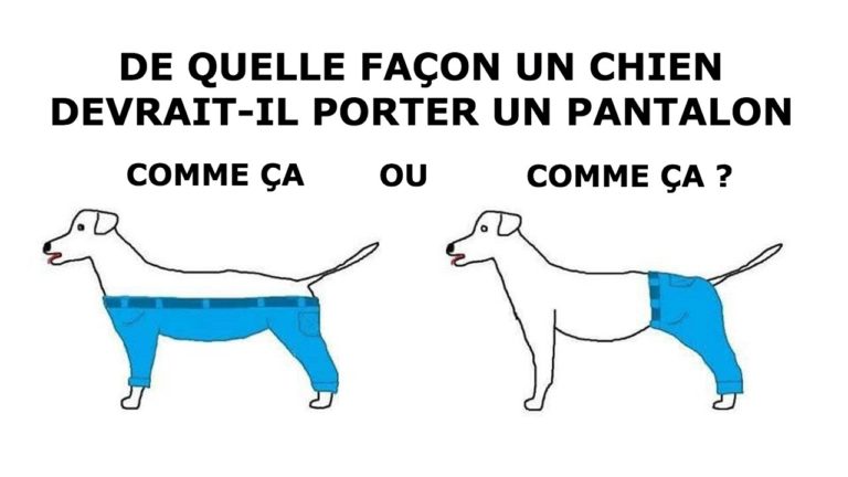 5 ÉNIGMES DRÔLES QUI VONT TESTER TON INTELLIGENCE