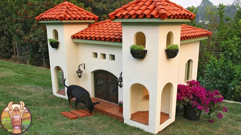 7 MAISONS DE LUXE POUR CHIENS