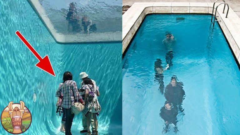 LES 5 PISCINES LES PLUS INCROYABLES DU MONDE