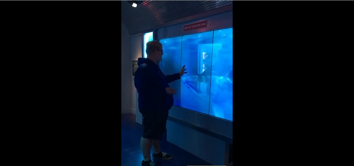 Un homme a peur de l&rsquo;attaque d&rsquo;un requin virtuel