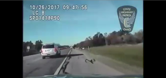 La police prend en chasse une voiture volée à 160 km/h et conduite par… Un enfant de 10 ans !