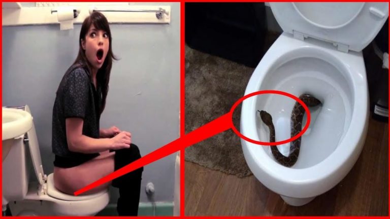 10 CHOSES ÉTRANGES TROUVÉES DANS LES TOILETTES !