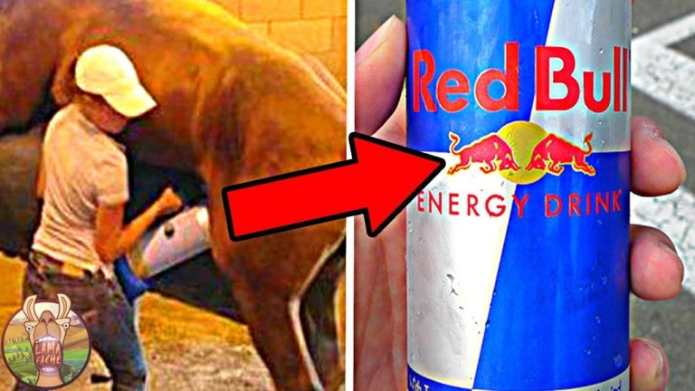 15 PRODUITS QUE TU NE RACHÈTERAS PLUS JAMAIS APRÈS AVOIR VU CETTE VIDÉO