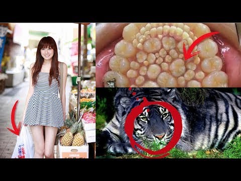 99 CHOSES QUI VONT VOUS IMPRESSIONNER