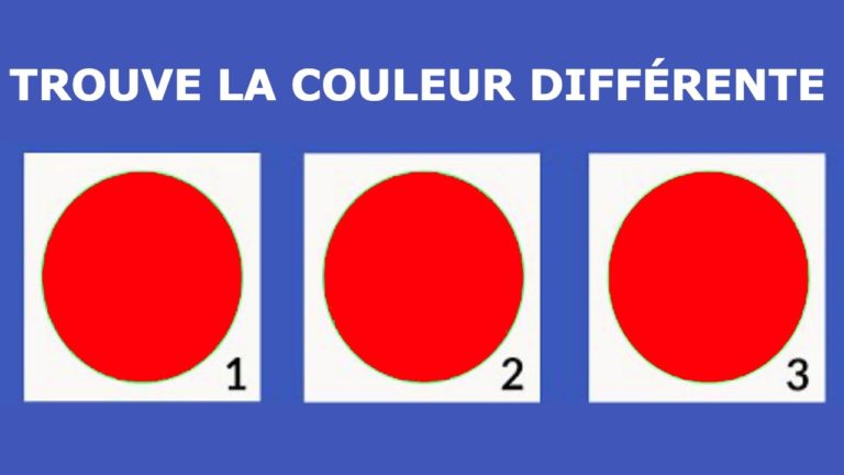 10 IMAGES QUI VONT TESTER TA VISION