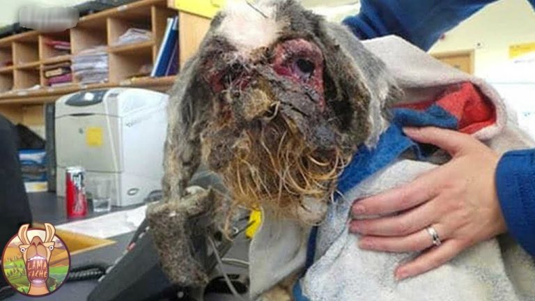 Son père a expulsé sa famille il y’a 30 ans, quand le fils voit cette serveuse tout s&rsquo;explique!