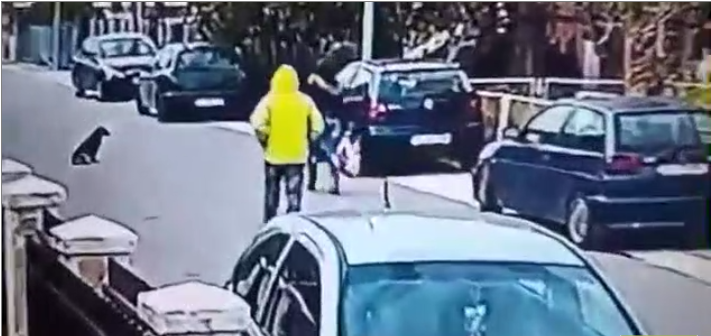 Un chien errant protège une femme d&rsquo;un vol à l&rsquo;arraché au Monténégro