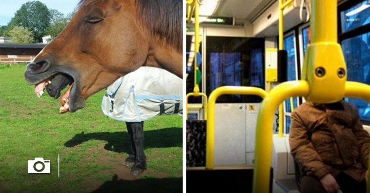 20 photos prises par totale inadvertance, dont le rendu final vous laisser sans voix