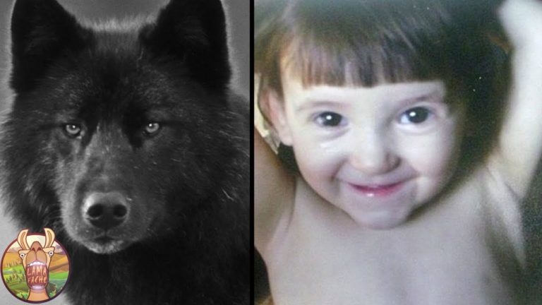 10 ENFANTS ÉLEVÉS PAR DES ANIMAUX SAUVAGES