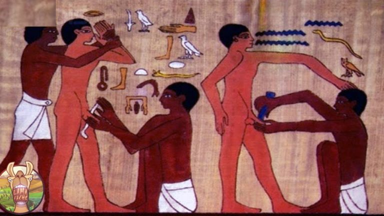 10 FAITS INCROYABLES SUR LES ANCIENS ANIMAUX ÉGYPTIENS