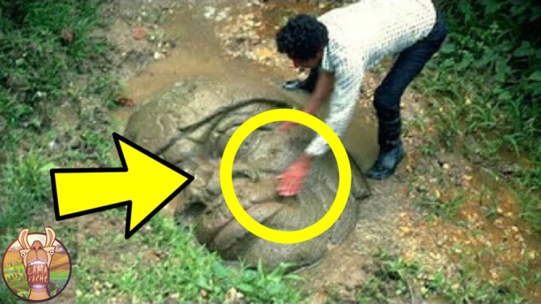 10 PERSONNES QUI ONT ACQUIS DES SUPERPOUVOIRS SUITE À DES DÉCOUVERTES MYSTÉRIEUSES