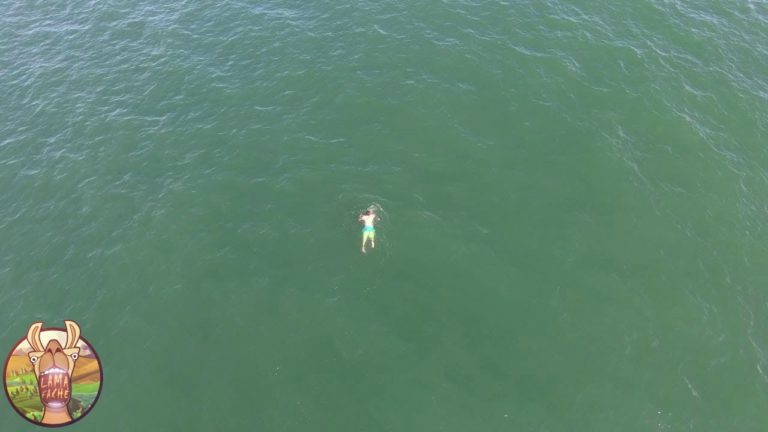 20 RÉPONSES AUX QUESTIONS QUE VOUS VOUS ÊTES TOUJOURS POSÉ