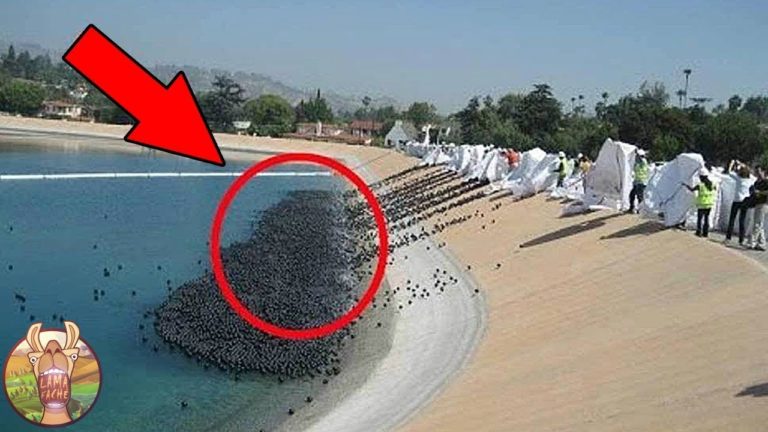 LES 10 PLAGES LES PLUS DANGEREUSES DU MONDE