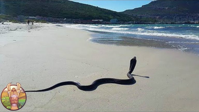 LES 15 ENDROITS LES PLUS DANGEREUX DE LA PLANÈTE