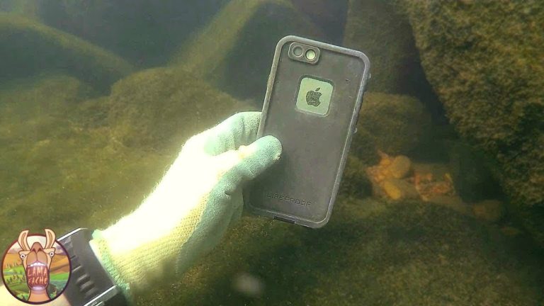 LES 10 DÉCOUVERTES SOUS L’EAU LES PLUS INCROYABLES DU MONDE