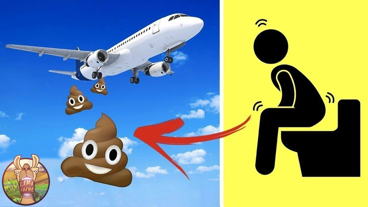 Ou Va Le Caca Dans Les Avions