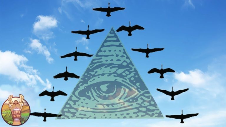 POURQUOI LES OISEAUX VOLENT-ILS EN « V » ?