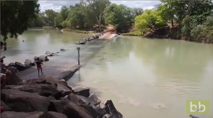 Quand un crocodile vient voler la prise d&rsquo;un pêcheur…