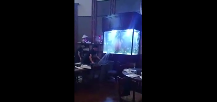 Un aquarium se fissure dans un restaurant