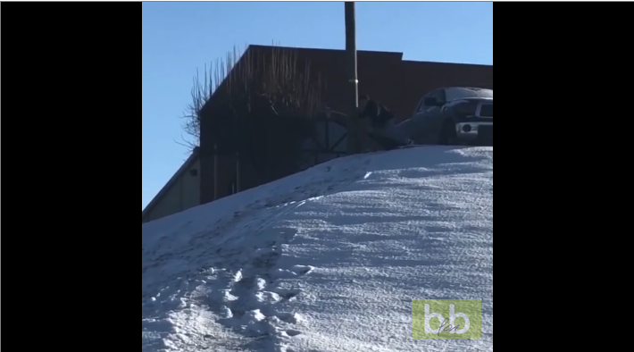 Un homme tombe sur un obstacle pendant sa descente en luge