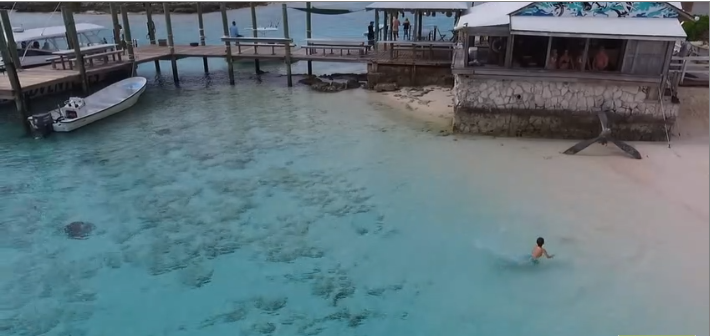 Un enfant dans l&rsquo;eau attire quelques requins curieux au Bahamas