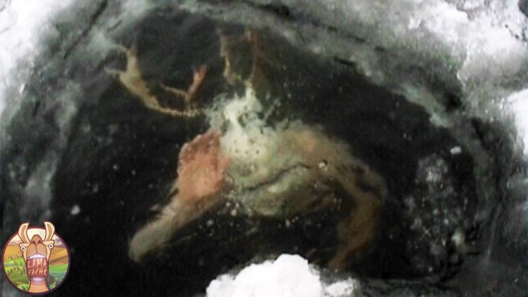 12 CHOSES INCROYABLES RETROUVÉES SOUS LA GLACE