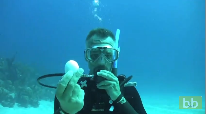 Que se passe-t-il quand on casse un oeuf sous l’eau ?