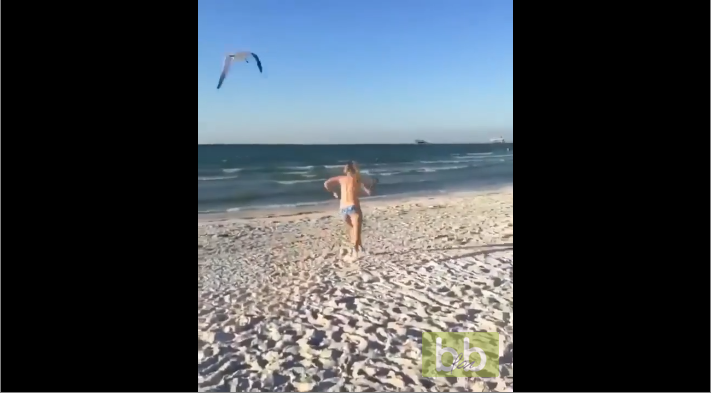 Une fille fait l’erreur de vouloir donner à manger à une mouette