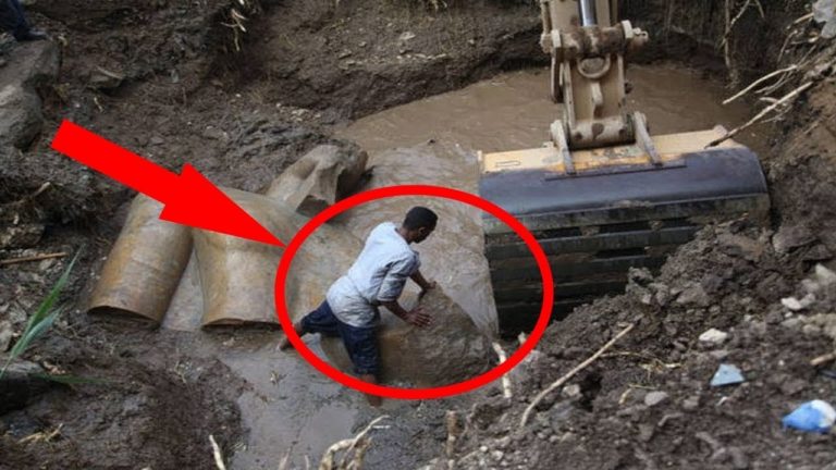 4 ÉTONNANTES DÉCOUVERTES RÉCENTES