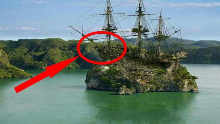 5 NAVIRES ABANDONNÉS dans les CARAÏBES