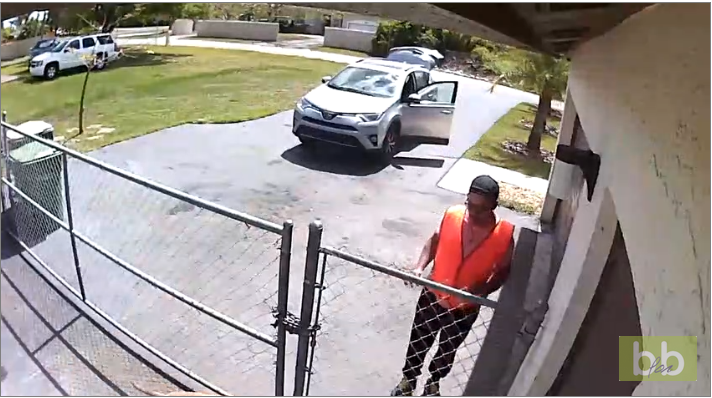 Un livreur jette un colis sur un chien et se fait virer…