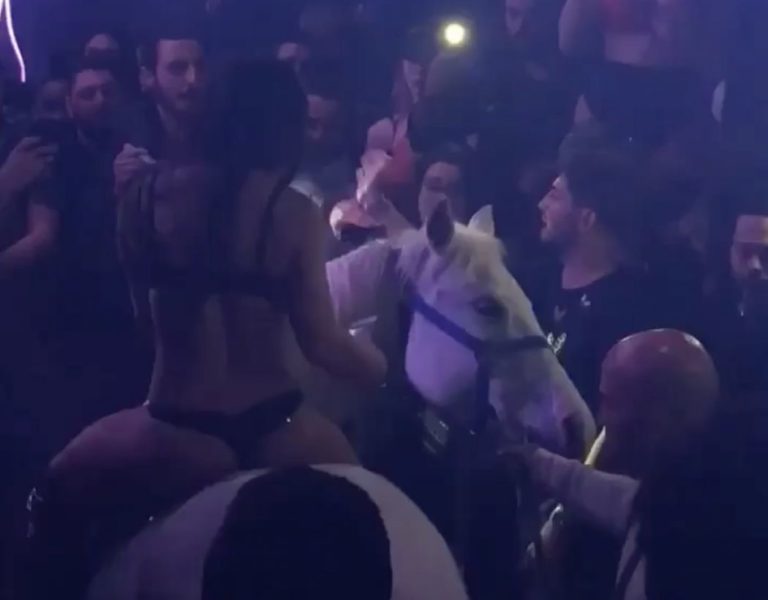 Une boite de nuit de Miami fait polémique après avoir fait entrer… Une femme en string sur un cheval !