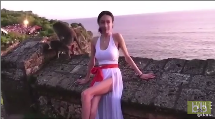 Un singe vole la vedette à une jolie fille lors d’un shooting photo !