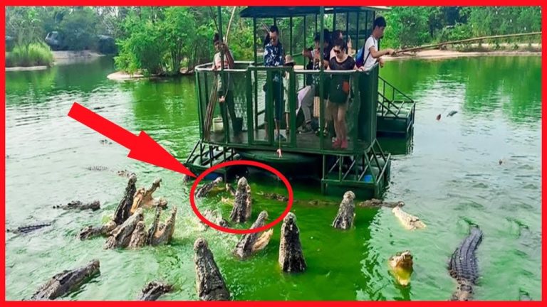 10 DESTINATIONS les plus DANGEREUSES du MONDE