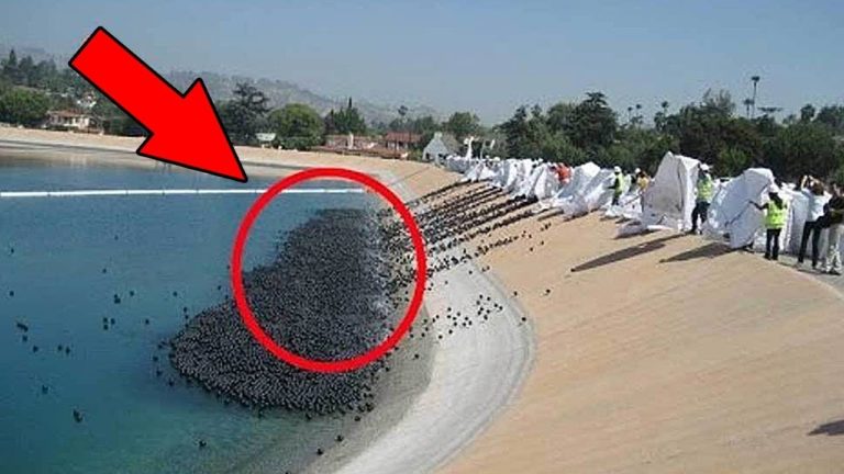 6 EAUX les plus DANGEREUSES du MONDE