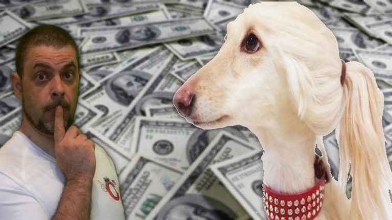 7 CHIENS que seuls LES RICHES PEUVENT AVOIR