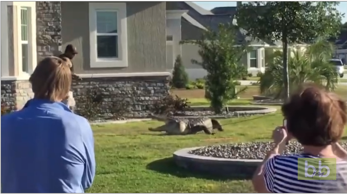 Ils retrouvent un intrus dans leur jardin en rentrant chez eux