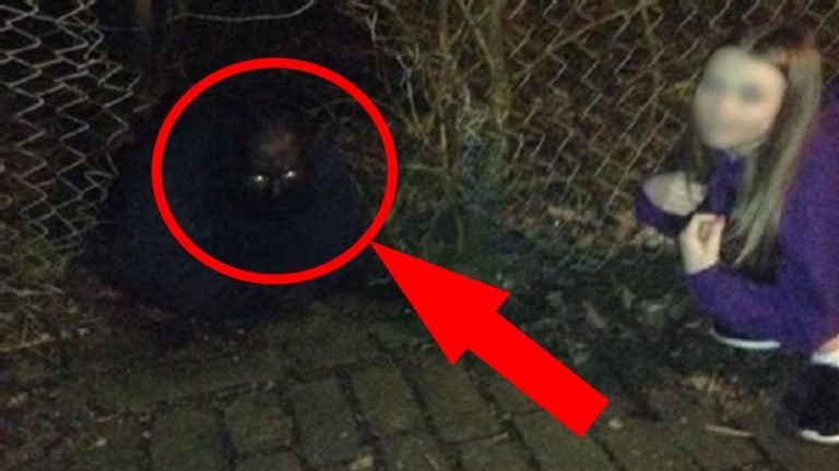 Cet homme vit véritablement comme un CHAT !