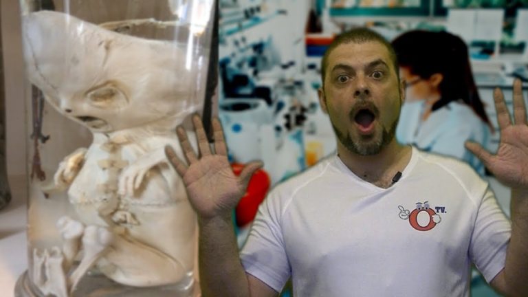 Ils ont créent un hybride de Poulet Humain