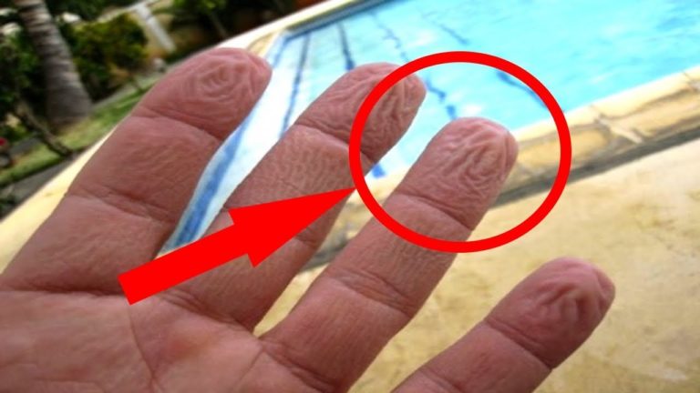 Tout ce que vous avez appris est FAUX !