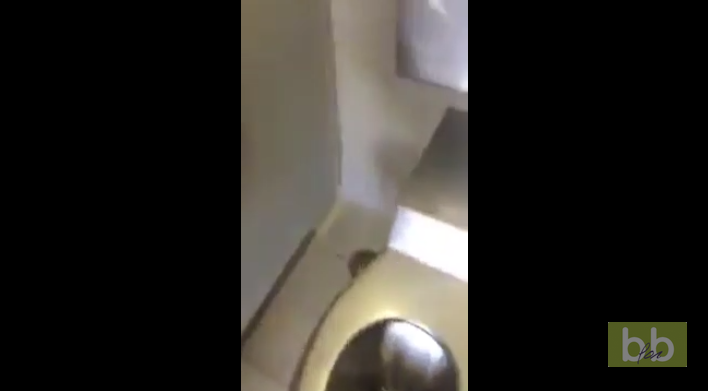 Une femme grille un homme qui filme en douce dans les toilettes