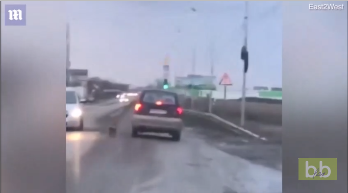 Ce pauvre chien poursuit la voiture de son maître qui vient de l’abandonner