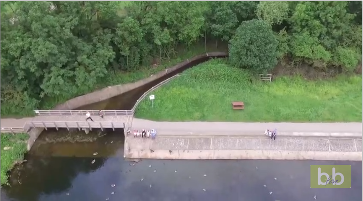Il saute dans l’eau pour tenter de sauver son drone qui a une panne en plein vol au dessus d’un lac