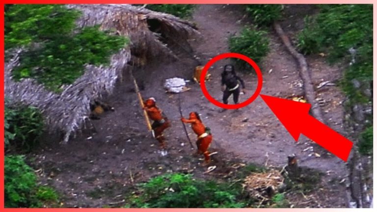 Les mystères inexpliqués de l’Amazonie