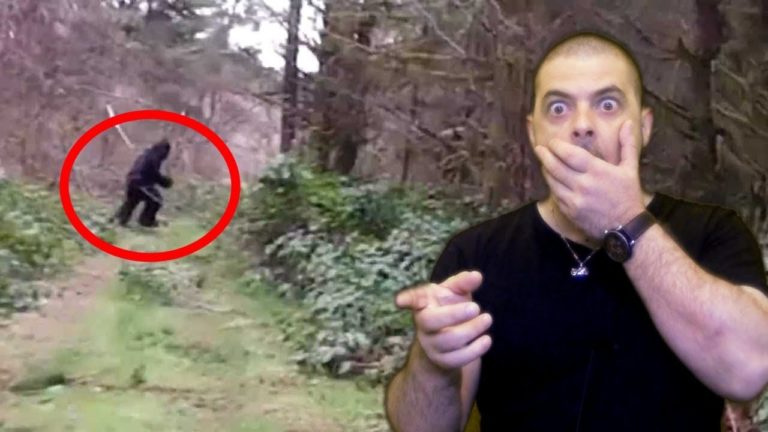 Preuve que le BigFoot existe vraiment