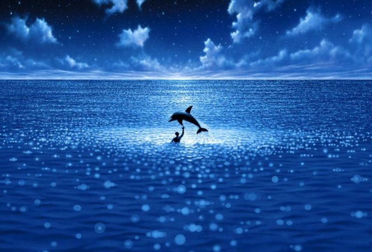 Quiz : Cinéma en mer