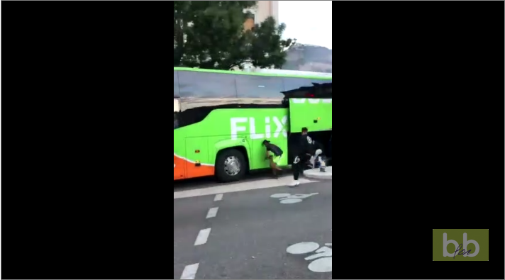 Un bus pillé par des jeunes à Grenoble