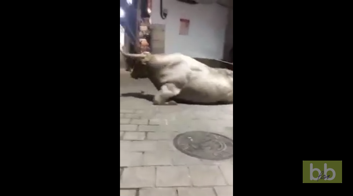 Un taureau se prend un mur pendant un lâcher dans les rues de Pampelune