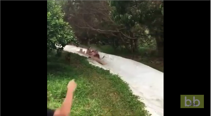 Des jeunes arrivent à fond en bas d’un toboggan aquatique