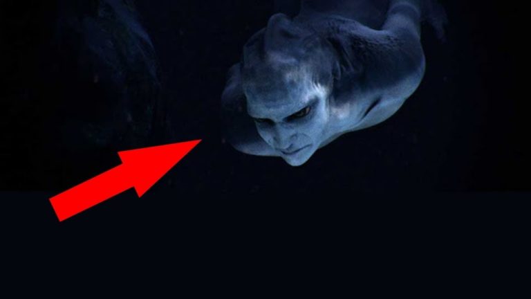 10 créatures mystérieuses vivant dans les profondeurs